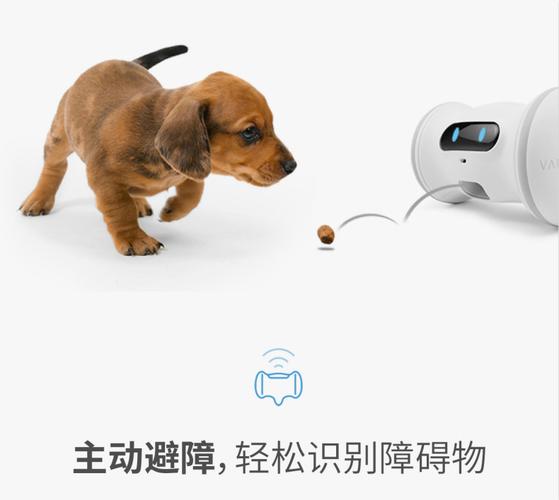 宠物智能用品热销 追求更高质量的“人宠互娱”体验「人宠互动产品」 家电资讯