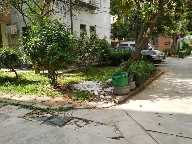 小区周边环境如何?「小区周边环境如何管理」 汽车服务