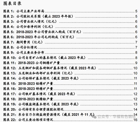 酒钢宏兴(600307.SH):以3.3亿元价格竞得甘肃省肃南县桦树沟西部铁铜矿详查探矿权 家电资讯