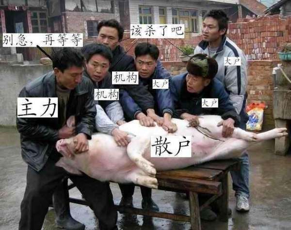 大量散户割肉,预示着未来上涨空间可期!「散户割肉规律」 维修服务