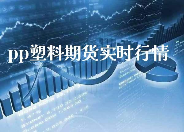 pp期货指什么「pp期货是什么」 汽车服务