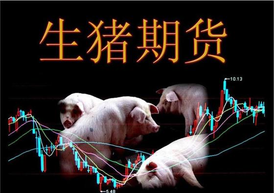 什么是猪肉期货「猪肉期货啥意思」 生活资讯