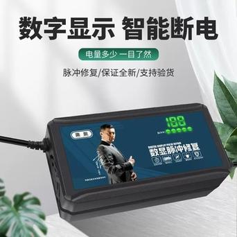 电动车充电器为何不能通用，用错充电器时，充电器是否有容错能力
