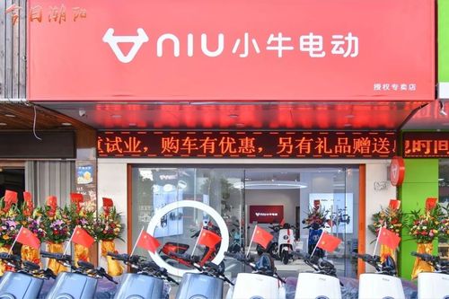 电牛联手店小强,引领新能源汽车后市场智慧升级 家电资讯