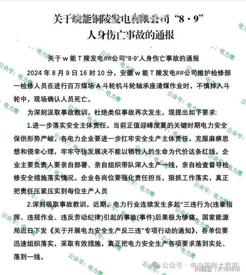 太惨了安徽某电厂一检修人员在作业时，不慎掉入斗轮中现场死亡
