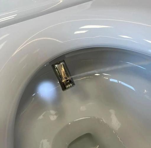 用了2年智能马桶,又换回了普通马桶这些难忍受,再也没有了 家电资讯