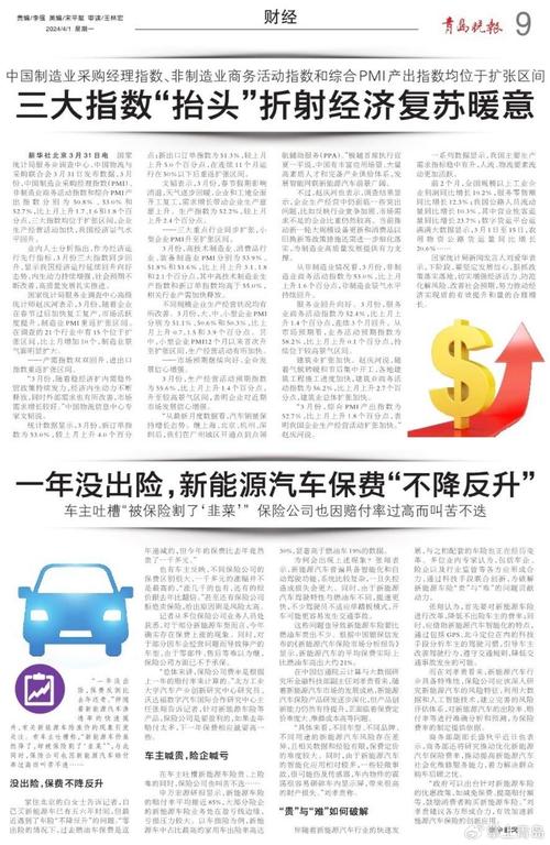 新能源汽车保费为何偏高。记者探访发现