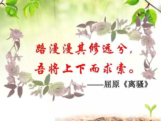 良田被淹，抽水机埠“使不上劲”。屈原“电骆驼”出动