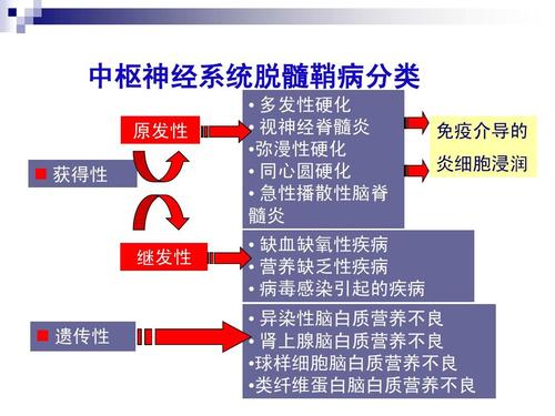 中枢神经再生可治疗中枢神经系统疾病相关研究成果不断增多
