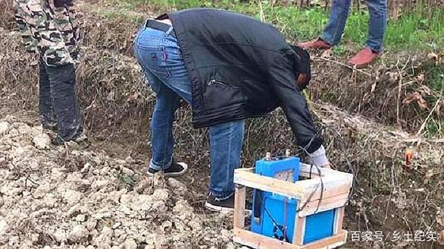用“地龙仪”“电蚯蚓机”抓野生蚯蚓。农业农村部严厉打击 家电资讯