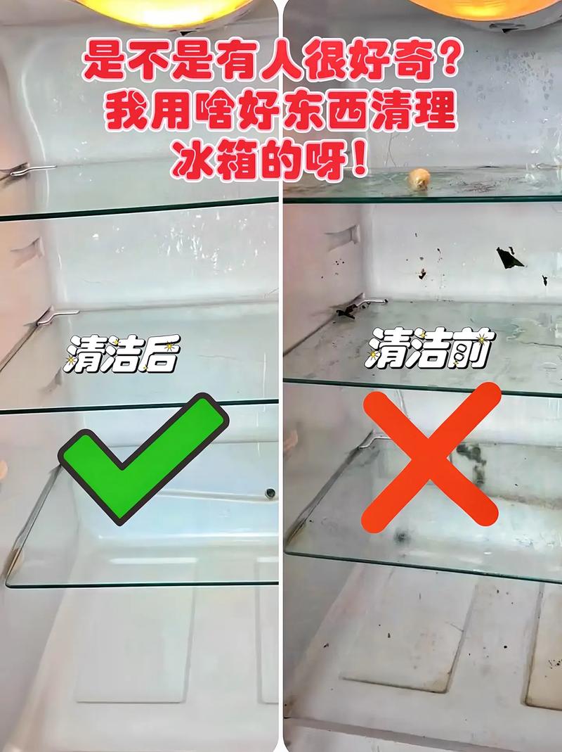 冰箱的正确清理步骤