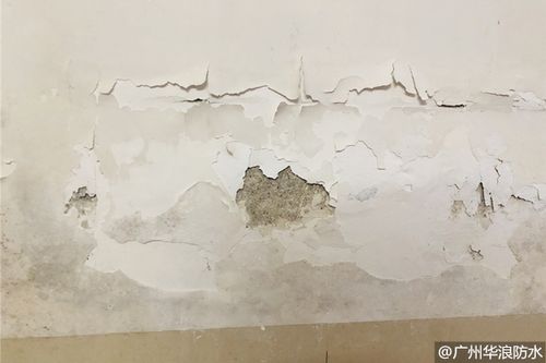 墙体老渗水重做防水层怎么那么难。 家电资讯