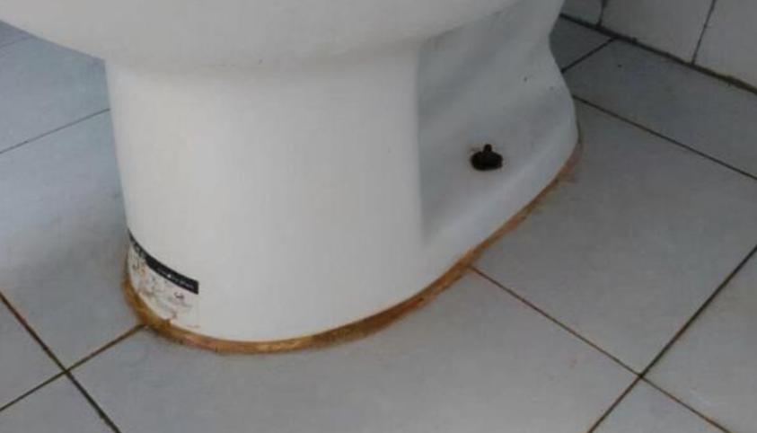 马桶底座发霉、发黑怎么办。教你几个妙招，霉斑自动消失