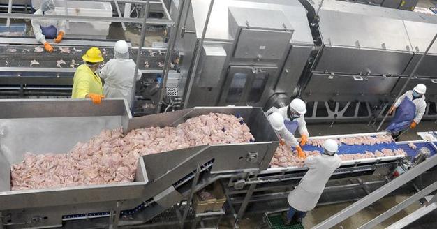 美国人是如何处理食品安全问题的。看得我哑口无言......