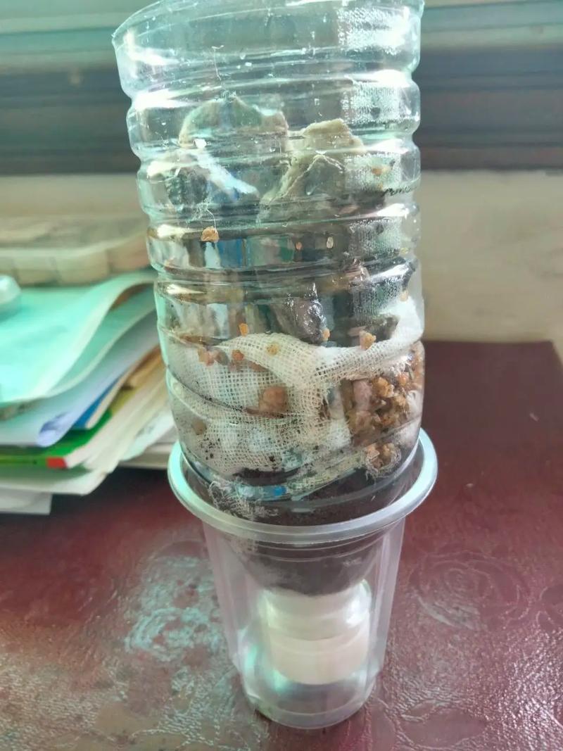 自制简易净水器更换耗材 家电资讯