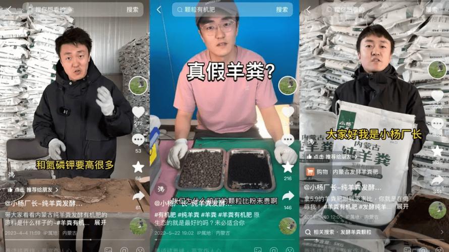 网络主播“转正”直播电商走出发展新契机