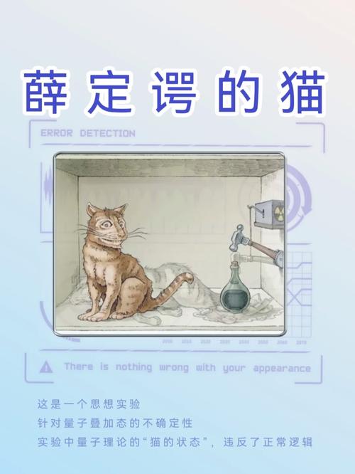 解读思想实验“薛定谔的猫”，该实验的实际意义是什么。