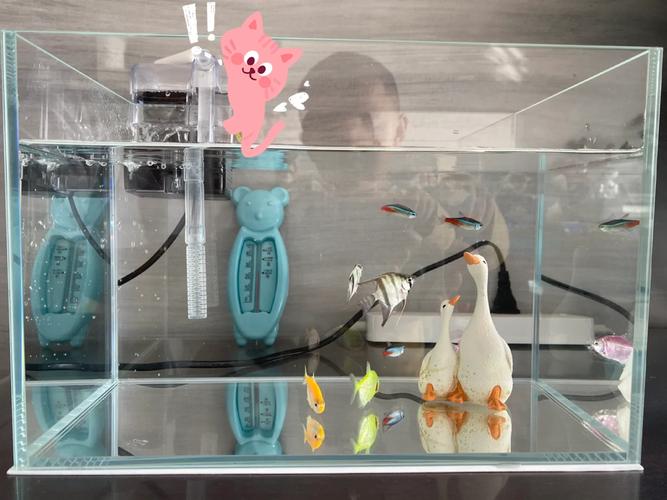 鱼缸内壁白色污渍怎么处理，鱼缸水垢怎么处理，鱼缸水垢清理方法