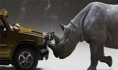 广电网络躲不掉“灰犀牛”。