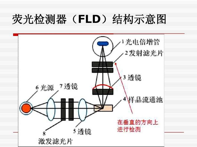 pcr荧光快速检测仪工作原理是什么?
