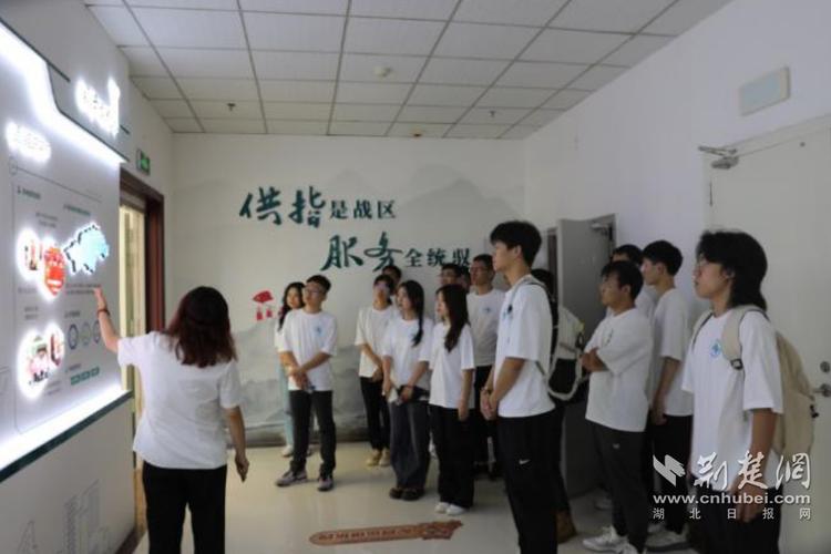 “清梦三峡-‘质’电乡村”联合支队调研无人机巡检