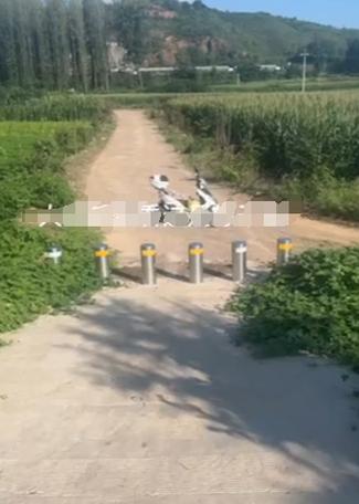 洛阳一通往田间的路段出现铁桩，村民三轮车都过不了镇政府回应
