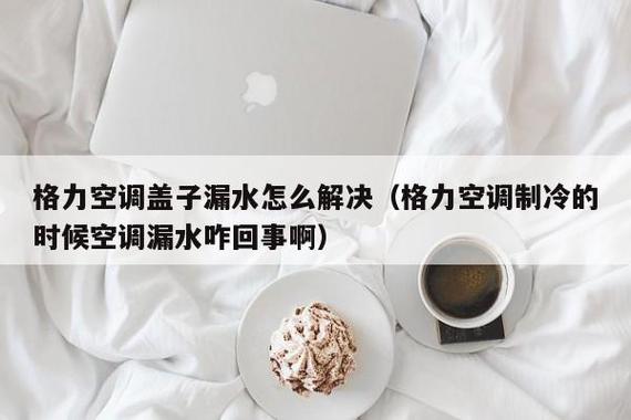 格力电器申请空调排水控制专利,解决空调室内机漏水问题 家电资讯