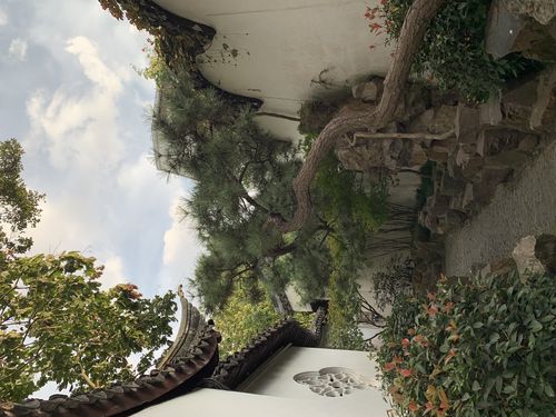 信阳玫瑰园:匠心独运,打造诗意盎然的园林空间 维修服务