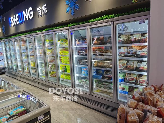 冻货店铺装修:打造时尚与适用的冰雪王国 维修服务