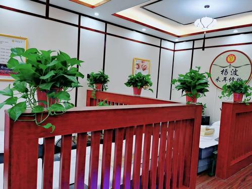 听声识雅_杨波采耳店内装修的匠心独运