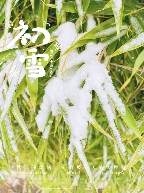 乐京空气能热水器,绿色节能，引领现代生活新潮流_乐京空气能热水器设置