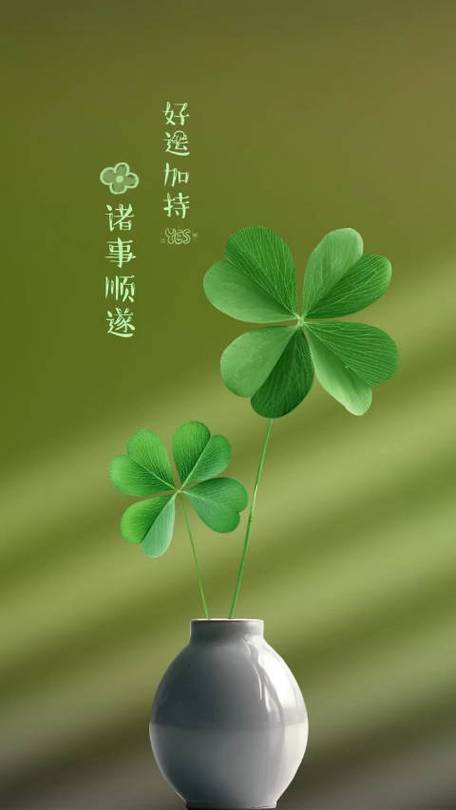 乐能空气,引领绿色呼吸,守护健康生活_乐能空气 生活资讯