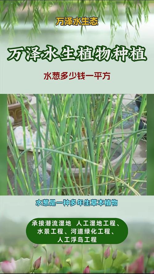 万泽空气能,绿色节能的暖通先锋_万泽空气能 家电资讯