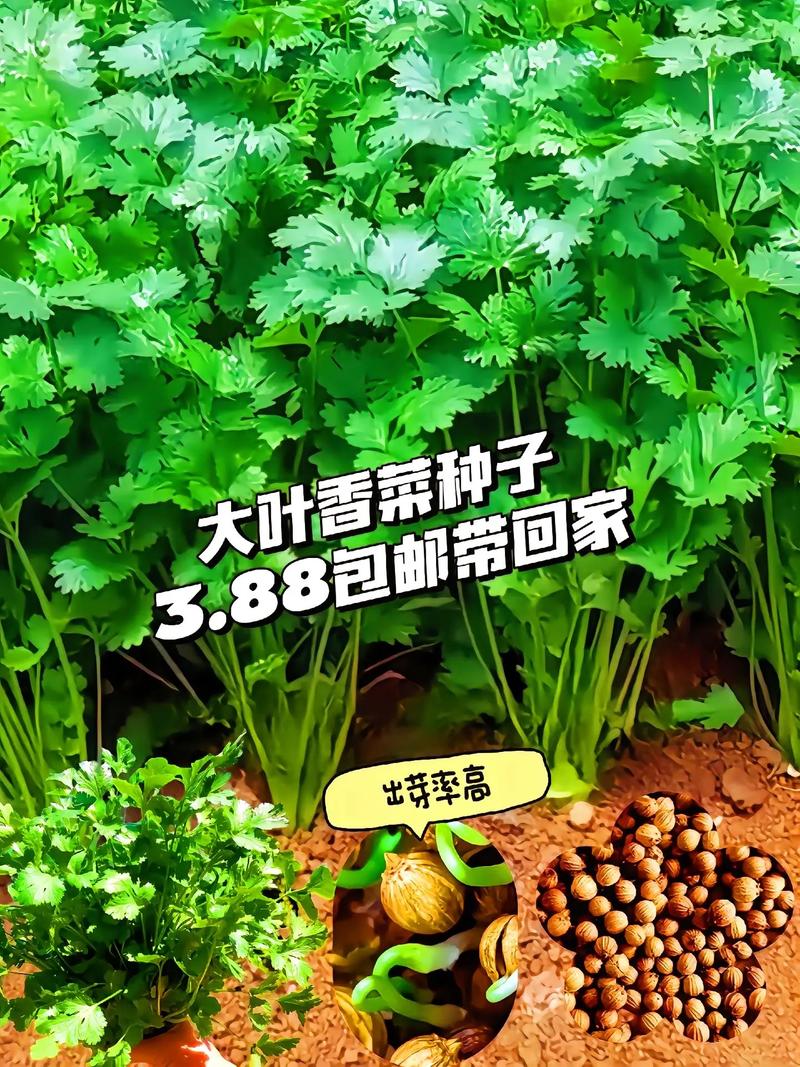 2023新款空气能热泵,绿色节能，引领家庭供暖新潮流_2023新款空气能热泵