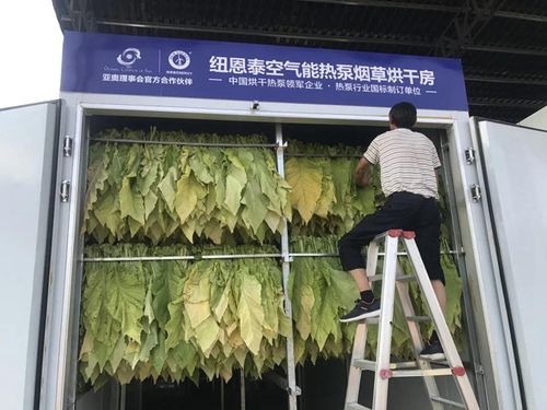 丹东空气能烘干设备,绿色节能,引领烘干行业新风尚_丹东空气能烘干设备 维修服务