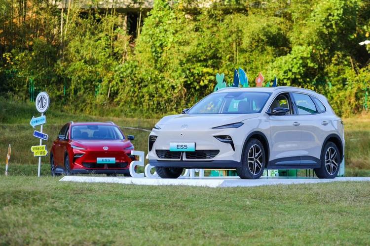 加盟途锐新能源车,引领绿色出行新潮流 汽车服务