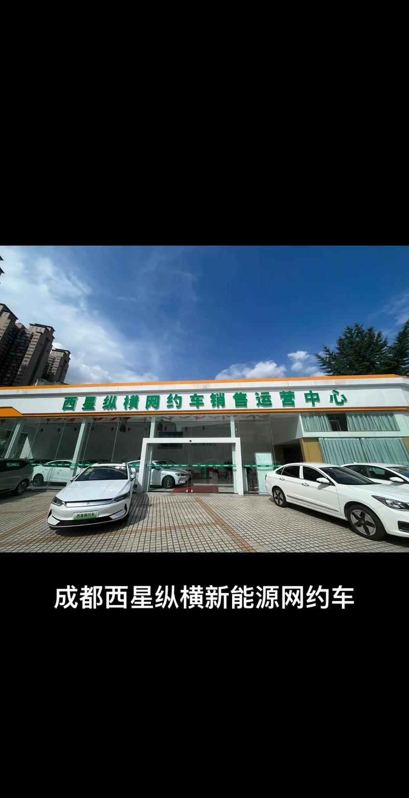 新能源车网约车质保,保障与挑战并存 汽车服务