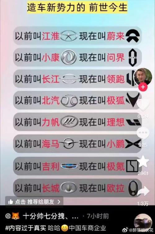 新能源车风控问题,挑战与应对步骤 汽车服务