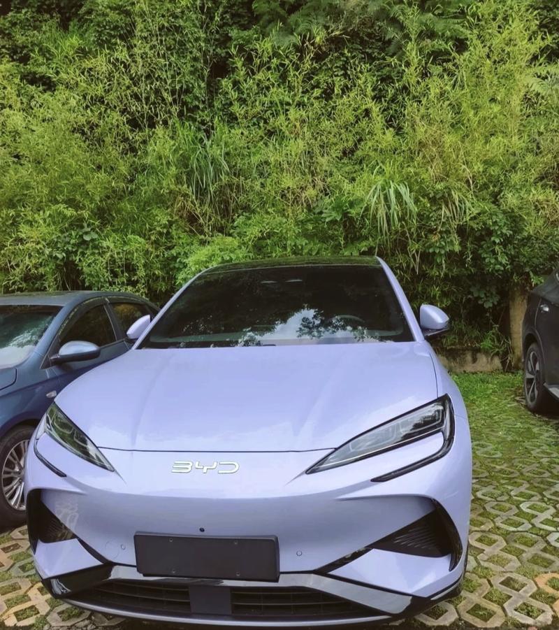 比亚迪海豹新能源车,绿色出行新选择,引领未来出行潮流 汽车服务