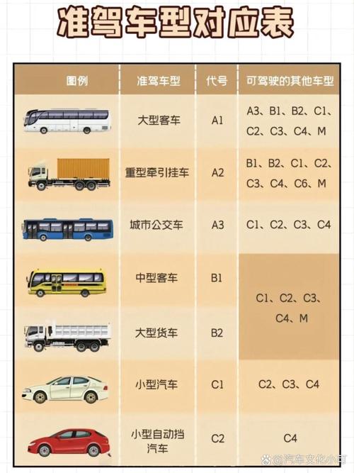 营运型车型大盘点,多样车型满足不同营运需求 汽车服务