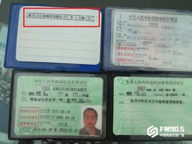 解码小车行驶证,介绍车型号背后的秘密
