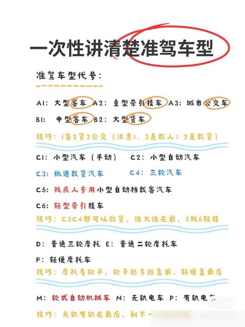 解码车型代号,介绍汽车世界的神秘密码 汽车服务