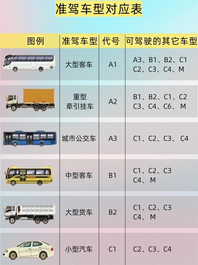 驾照初次考取,从准驾驶车型到首次驾驶选择 汽车服务