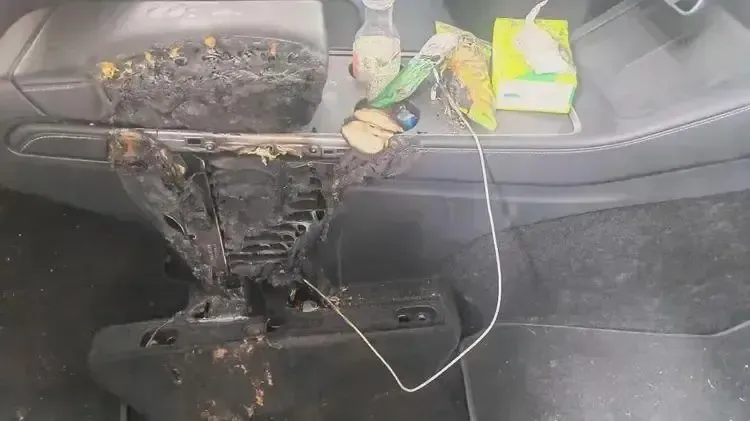 多地出现车辆自燃 高温天用车注意这些 多地出现车辆自燃 高温天用车注意这些「多地出现车辆自燃 高温天用车注意这些问题」 维修服务