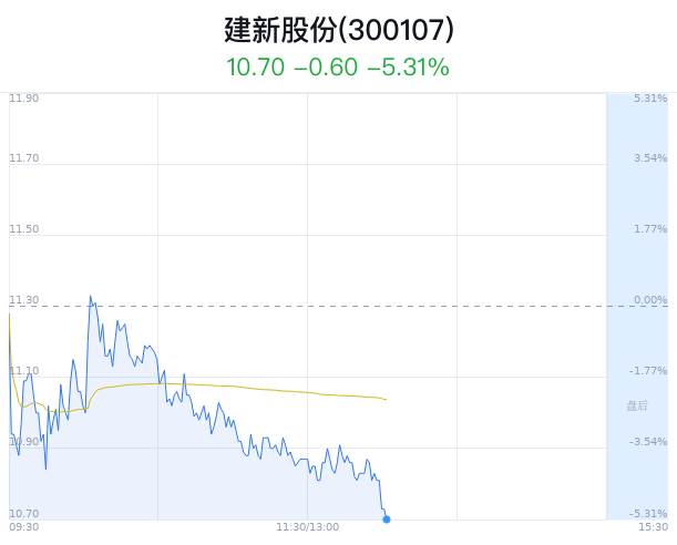 建新股份大跌5.13% 主力净流出2255万元「建新股份2020年最新分析」 家电资讯