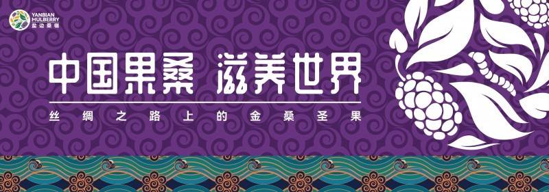  盐边桑椹品牌战略发布：中国果桑，滋养世界！「盐边桑葚干专卖」 家电资讯