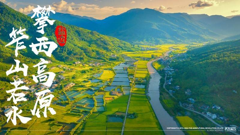  盐边桑椹品牌战略发布：中国果桑，滋养世界！「盐边桑葚干专卖」 家电资讯