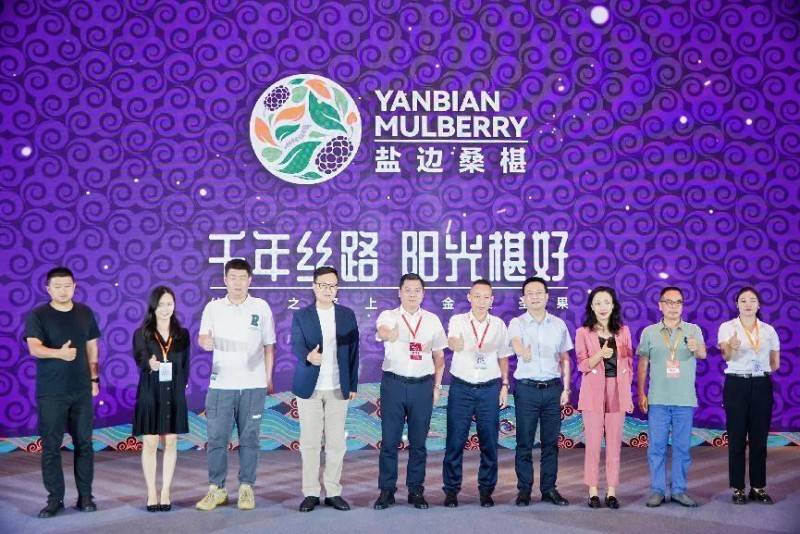  盐边桑椹品牌战略发布：中国果桑，滋养世界！「盐边桑葚干专卖」 家电资讯