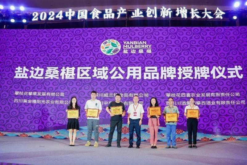  盐边桑椹品牌战略发布：中国果桑，滋养世界！「盐边桑葚干专卖」 家电资讯