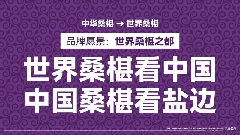  盐边桑椹品牌战略发布：中国果桑，滋养世界！「盐边桑葚干专卖」 家电资讯